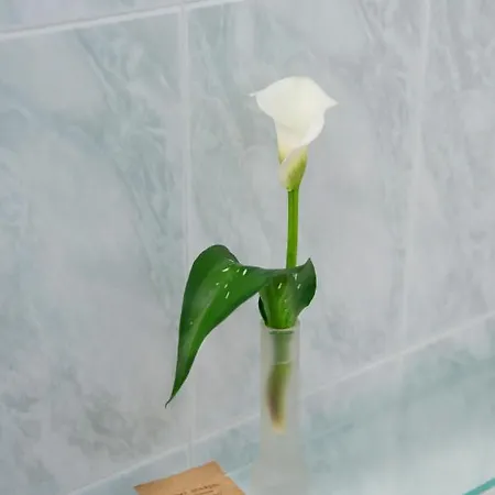 Casa de Férias Myway Rdr *