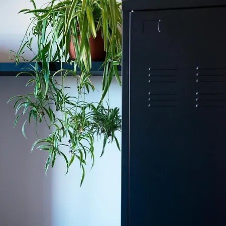 Casa de Férias Myway Rdr Roma