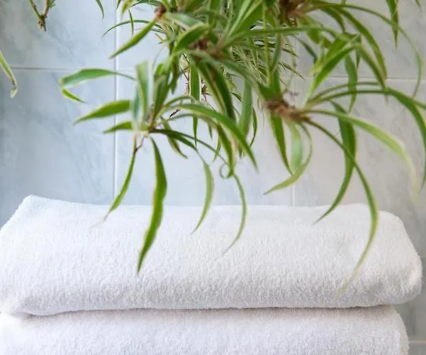 Casa de Férias Myway Rdr *